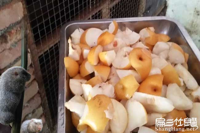 竹鼠配料