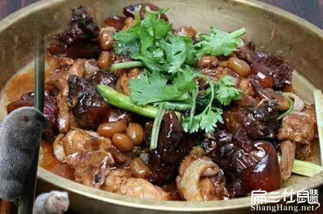 竹鼠肉價格