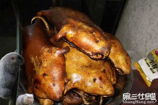 竹鼠養(yǎng)殖前景