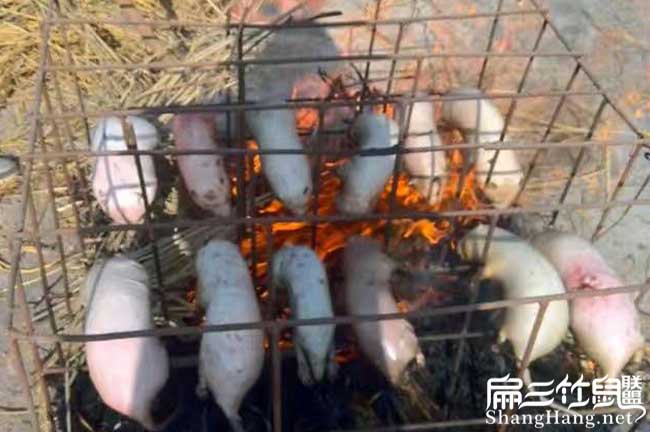 中國(guó)燒竹鼠肉