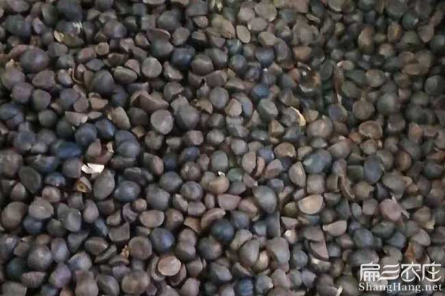 南寧差值收購