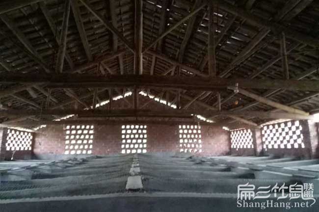 江西大中肉兔養(yǎng)殖