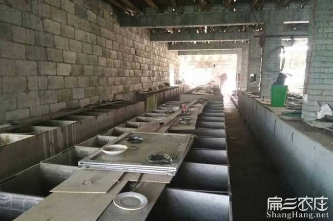 竹鼠養(yǎng)殖注意問(wèn)題