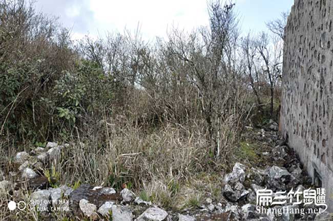 養(yǎng)鼠主要難在技術(shù)，至