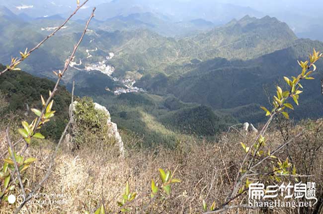 竹鼠廠家潛江建設(shè)材料