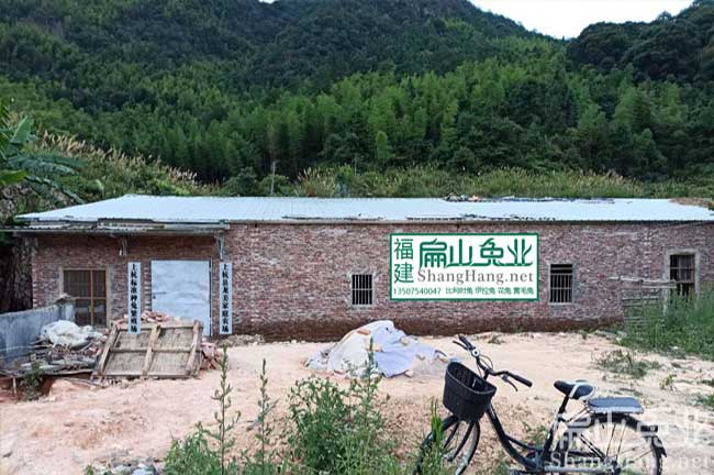 福建種兔場(chǎng)