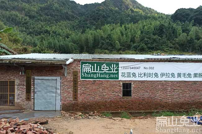 福建養(yǎng)竹鼠的場地