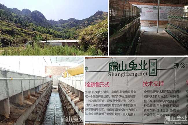 龍巖養(yǎng)兔場