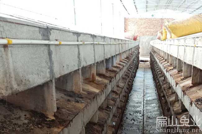 上杭種兔場