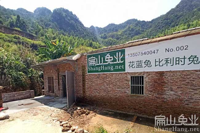 浙江種兔養(yǎng)殖場(chǎng)
