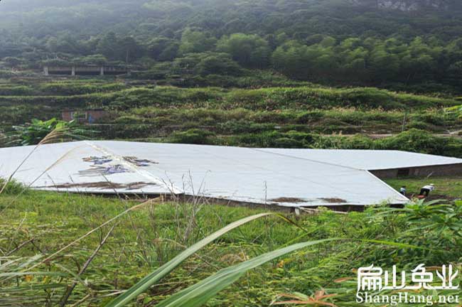 廣東大型養(yǎng)兔場(chǎng)
