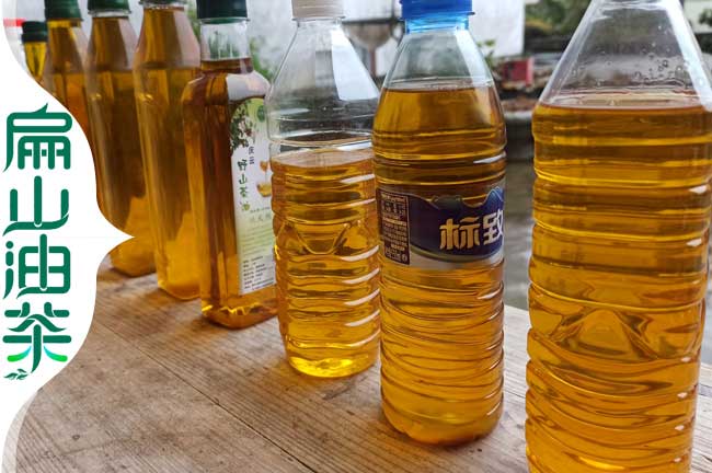廣西茶油價(jià)格