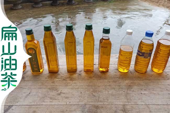 中國(guó)油茶種植網(wǎng)