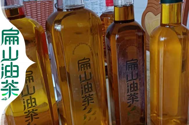 福建茶油收購