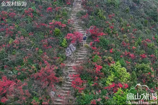 福建金龍村風景