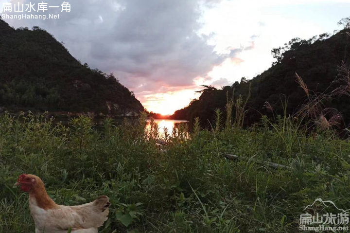 扁山水庫(kù)一角