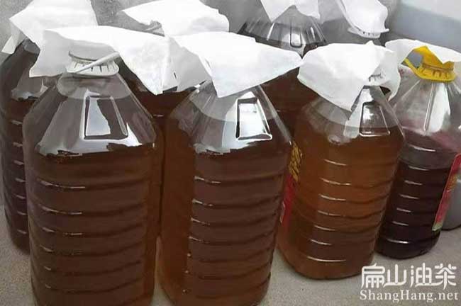 福建茶油批發(fā)