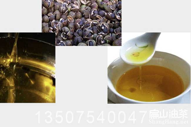 中國(guó)茶油批發(fā)