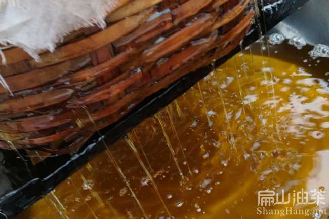 景德鎮(zhèn)茶油批發(fā)