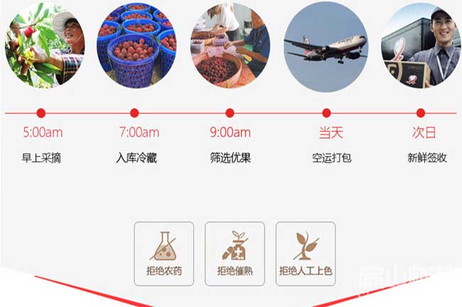 范縣東魁楊梅