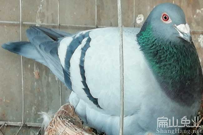 長汀賽格批發(fā)