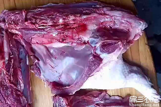 陽江肉兔養(yǎng)殖基地