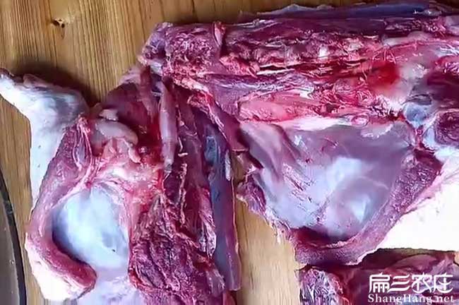 中山肉兔肉批發(fā)