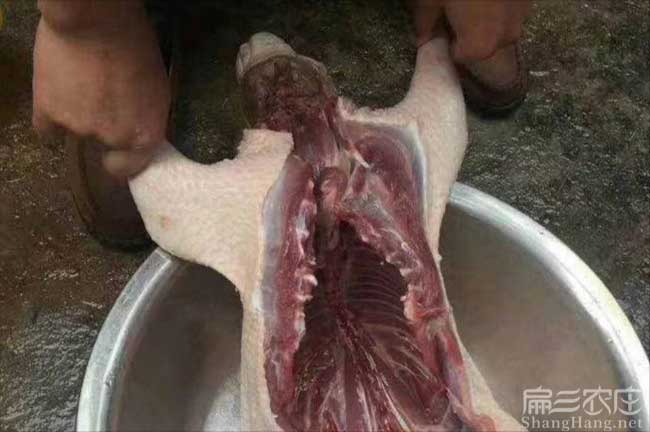 賣肉兔肉發(fā)財