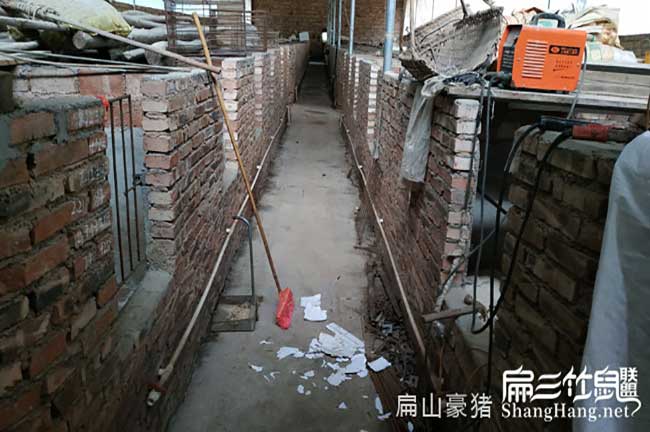 龍巖肉兔養(yǎng)殖