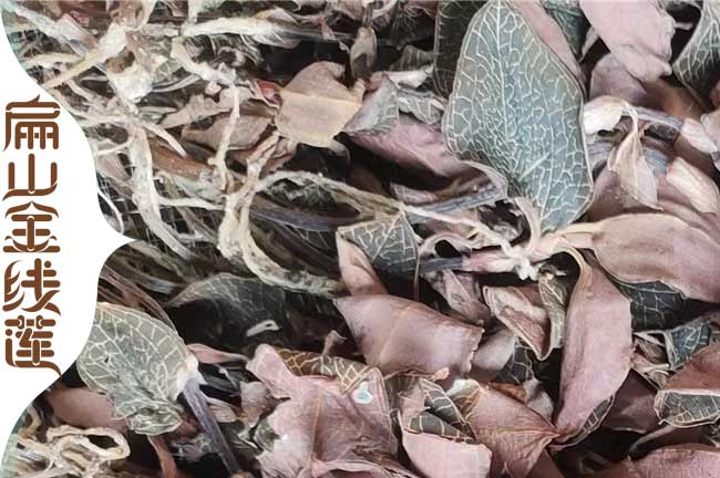 玉溪金線蓮干貨