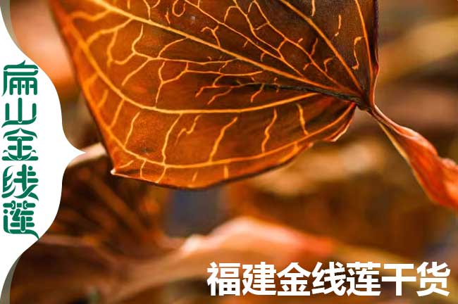 大葉 上饒金線蓮種苗.干貨批發(fā) 規(guī)模化生產(chǎn)種植基地0.8元/珠