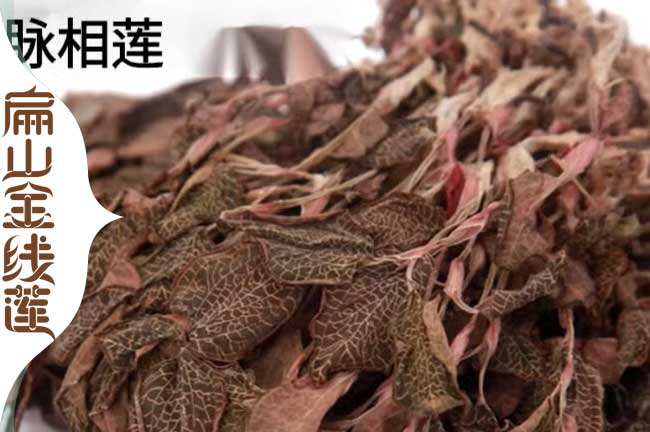 來(lái)賓金線蓮干貨批發(fā)