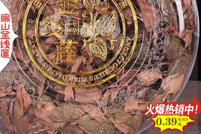 JX福建金線(xiàn)蓮種苗批發(fā) 金線(xiàn)蓮種苗培育 福建漳州種苗價(jià)格