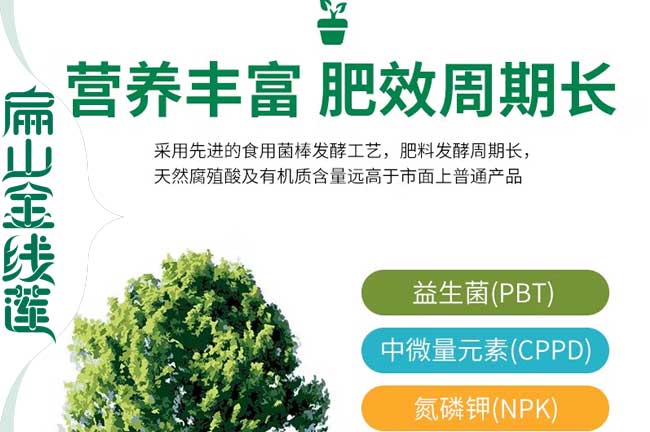 云南金線蓮營養(yǎng)土