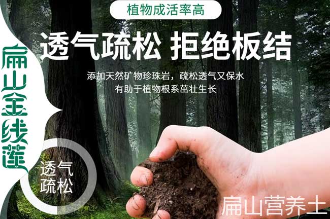 銅梁營(yíng)養(yǎng)土批發(fā)