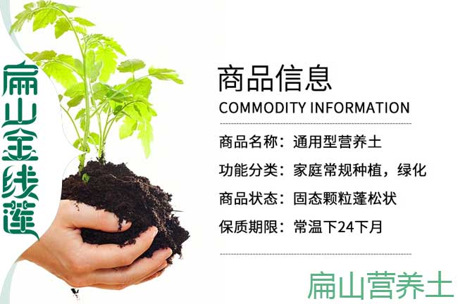楚雄金線蓮營(yíng)養(yǎng)土