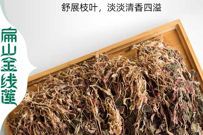 仿野生金線蓮干貨