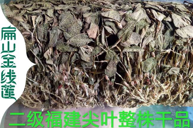 華容二級(jí)金線蓮干貨