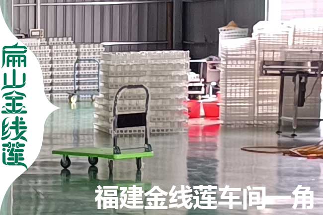太倉(cāng)金線(xiàn)蓮生產(chǎn)車(chē)間