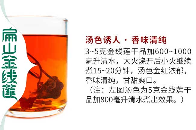煙臺(tái)金線蓮培育