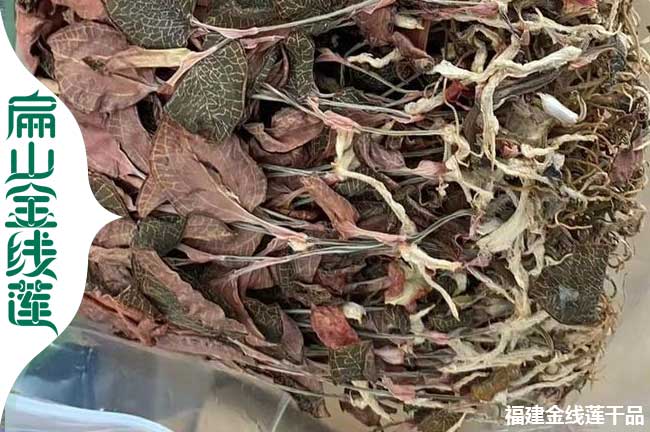 咸陽(yáng)金線蓮干貨批發(fā)