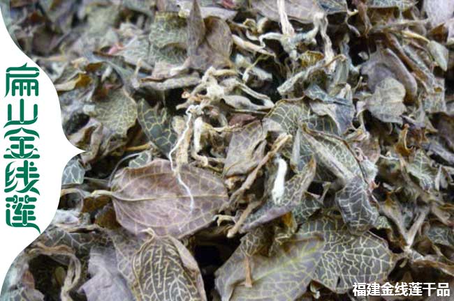 德陽(yáng)金線蓮干品