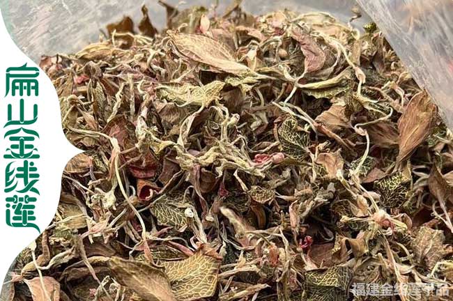 寶雞金線蓮干貨
