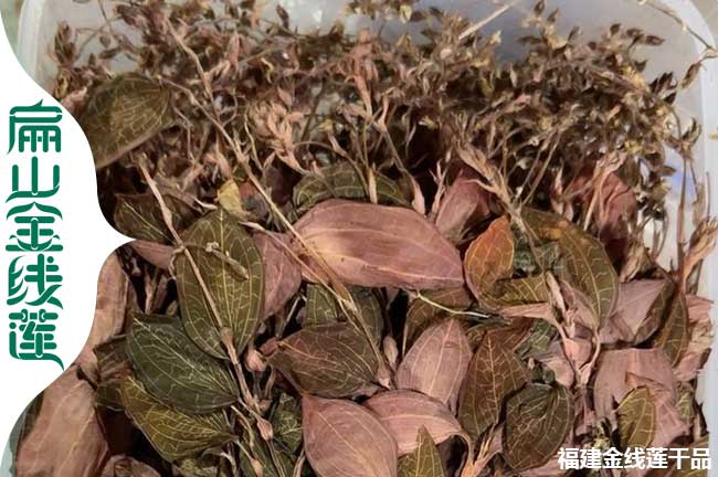 蚌埠金線蓮干貨