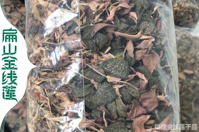 樂(lè)山金線蓮干品價(jià)格