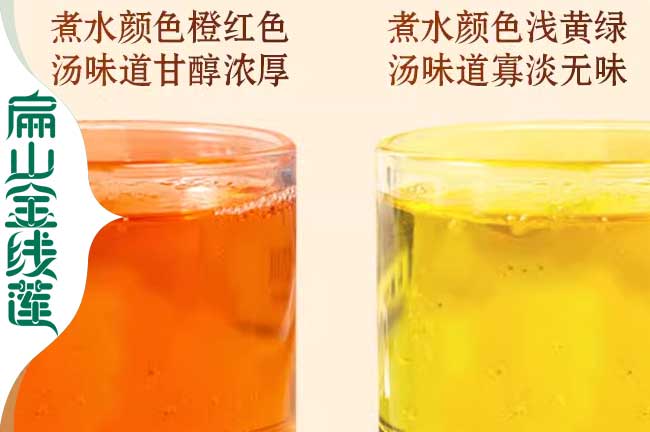 青浦金線(xiàn)蓮作用