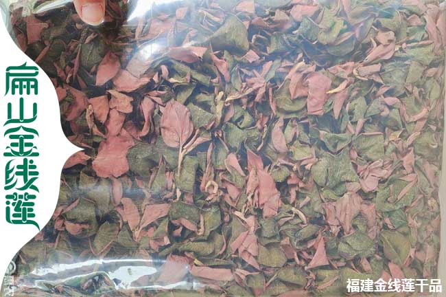 大淮南安慶宿州的金線蓮規(guī)?；N植基地 賣種苗干貨680元/斤