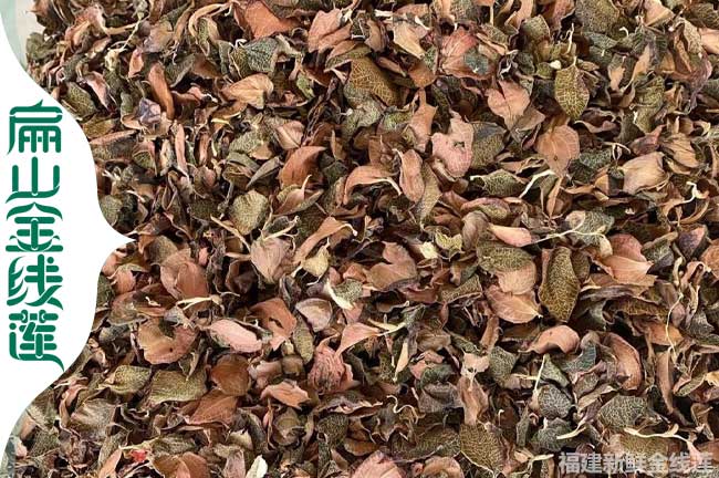 寶雞金線蓮干貨