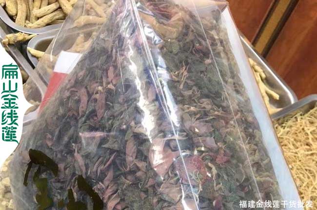 福建金線蓮干貨批發(fā)