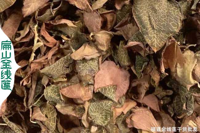 福建金線蓮干品
